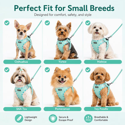 AMTOR Small Dog Harness with Leash Set, No Escape Easy Walk Puppy Harnesses for Training Walking, Step-In Reflective Soft Dogs Vest for XS S Medium Extra-Small Large Sized Dog(Green,S)5