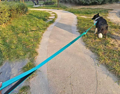 3 Handle Dog Leash 10FT Triple Handle Reflective Large Medium Dog | Multi Handles Heavy Duty Training Lead with Padded Traffic Handles for Control and Safety7