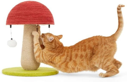 Everyyay by Petco Toadstool Scratch Post for Cats1