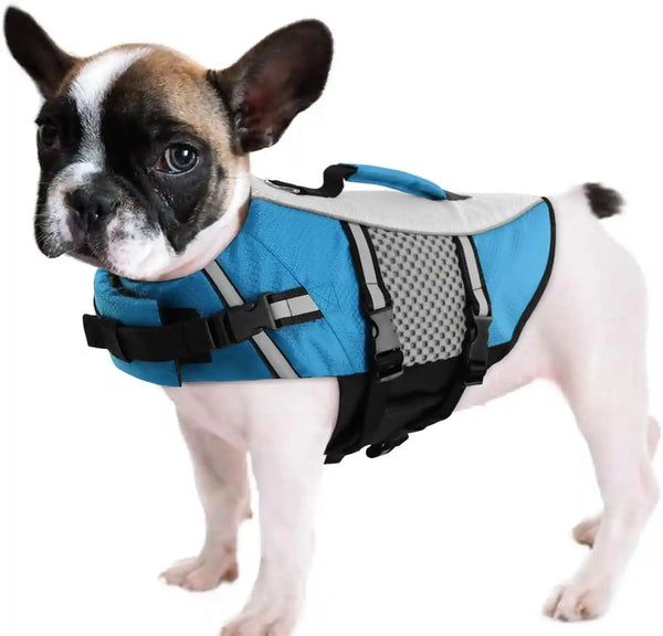 Queenmore Dog Life Jacket Small Float Vests for Swimming Boating Kayaking Mediumn Puppy Dogs Cats Neoprene Life Preserver Pet Water Lifesaver Lightweight Reflective Green,L7