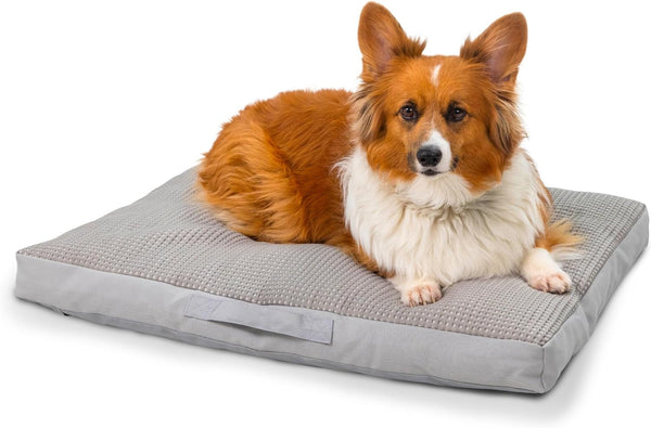 Best Friends by Sheri Cool & Cozy Dog Cooling Bed, Orthopedic Comfort with Shredded Foam & Plush Polyfill, Water Resistant Base & Washable Cover, Dogs & Puppies, Gray, Small, 30" X 20"1