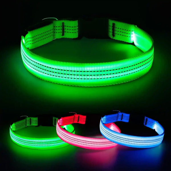 Light up Dog Collar for Small Dogs& Cats, Reflective LED Dog Collar Rechargeable Glowing Puppy Collar Safety Dog Lights for Night Walking (Royal Blue)9