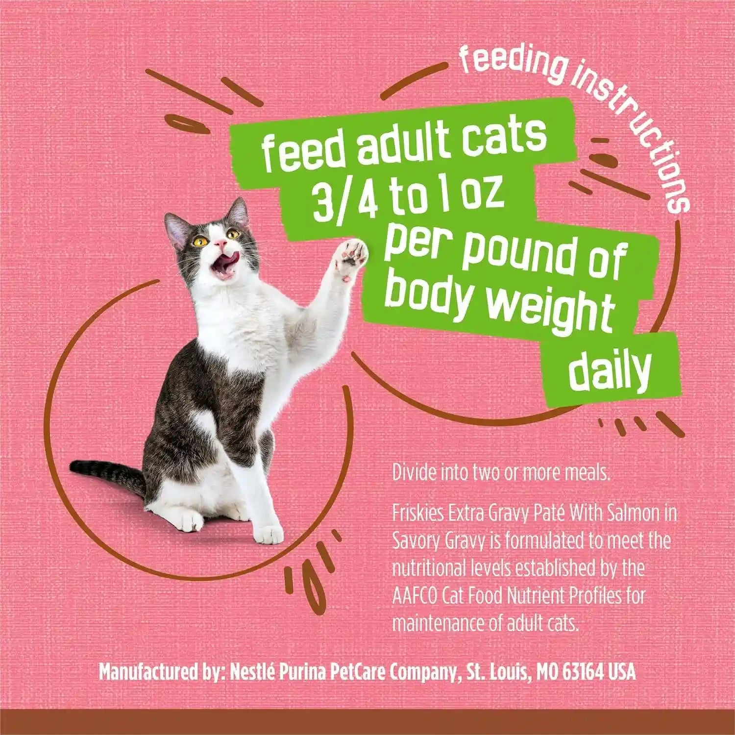 purina-friskies-wet-cat-food-extra-gravy-pate-with-salmon-in-savory-gravy-pack-of-24-5-5-oz-cans