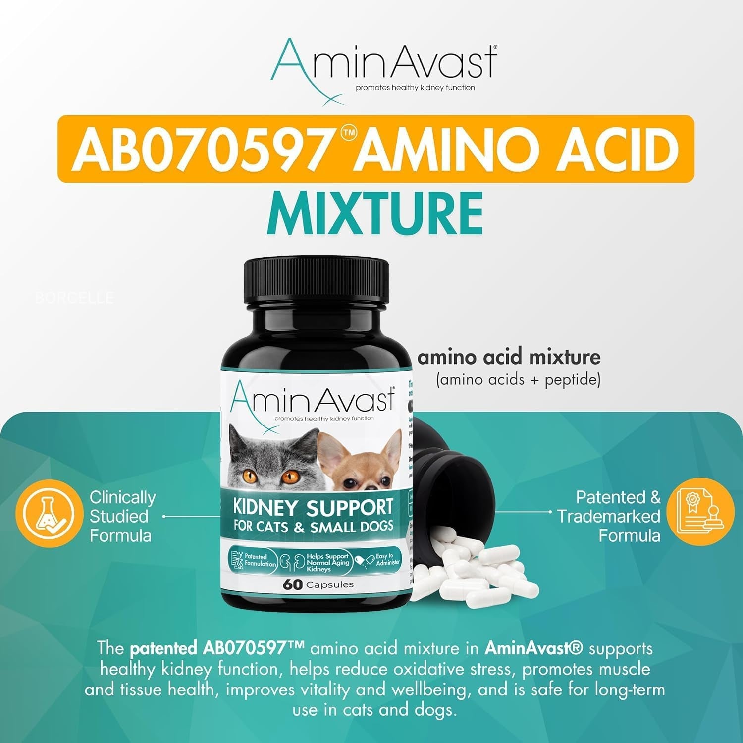 aminavast-300mg-kidney-support-for-cats-small-dogs-60-sprinkle-capsules-feed-directly-or-open-capsules-mix-with-food-amino-acid-and-peptide-blend-for-cats-and-small-dogs-up-to-20lb