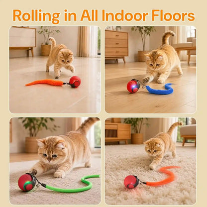 Interactive Cat Toys with Bird Sounds & 3 Speed Modes for Indoor Cats Play | Bird Sounds, 3 Speed Modes, Rechargeable Automatic Rolling, 3 Tails, Fast Charging Ball, for Indoor Cats on Hard Floor Carpet5