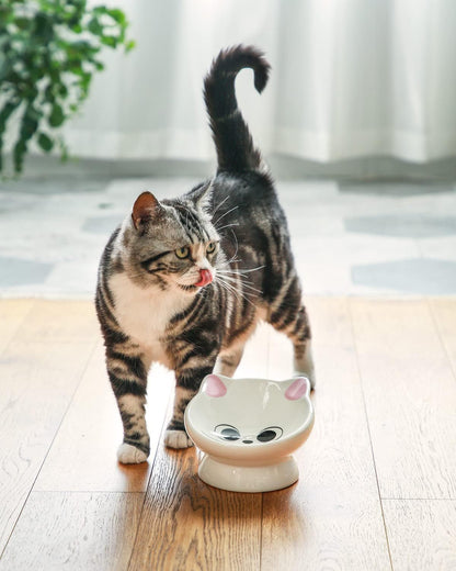 Raised Cat Food Bowl Ceramic 15° Tilted Cat Food Bowls Protect Cat'S Spine anti Vomiting Backflow Prevention Bowls for Adult Kitty, Kitten, and Small Dogs, Pink4