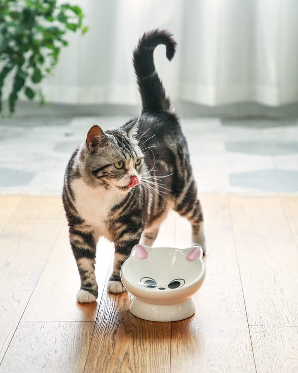 Raised Cat Food Bowl Ceramic 15° Tilted Cat Food Bowls Protect Cat'S Spine anti Vomiting Backflow Prevention Bowls for Adult Kitty, Kitten, and Small Dogs, Pink4