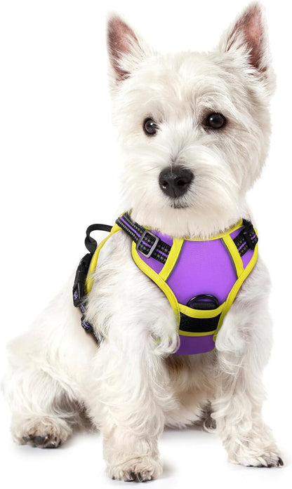 Rabbitgoo Dog Harness, No Pull for Large Dogs with 2 Leash Clips, Pet Vest | No Choke with Handle, Adjustable Soft Padded, Reflective, Easy Control for Walking, Black, Large70