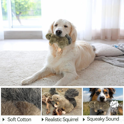 ALL for PAWS Interactive Dog Squirrel Plush Squeaky Toy - Perfect Puppy Enrichment Toy, Large7