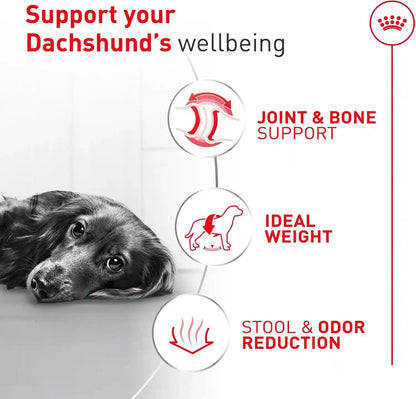 ROYAL CANIN Breed Health Nutrition Dachshund Adult Dry Dog Food, 10 Lb Bag. | Specialized Kibble Shape, Supports Joint and Bone Health, Promotes Healthy Weight, Complete and Balanced Nutrition5