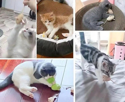 Catnip Toy, Cats Mouse Plush Cat Toys, Cat Mice & Animals Toys for Indoor Cats and Kittens, Cat Chew Toy for Exercise for Pet Cat Kitten Kitty (6 Packs)6