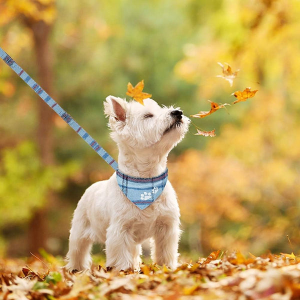 EXPAWLORER Puppy Collar and Leash Set - Embroidery Pawprints Plaid Dog Collar and Dog Leash Set, Bow Tie and Bandana Dog Collar with Bell, Cute Collar and Leash for Dogs Cats Outdoor Walking, Blue S5