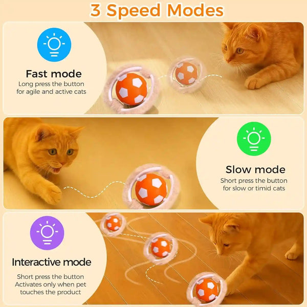 VIWIK Interactive Cat Toys for Indoor Cats, Hide and Seek Mouse Catching Game Cat Ball Toy, Automatic Motion Activated Kitten Toys, Low Noise Fast Rolling Ball in Play Mat for Bored Adult Cats2