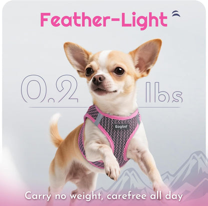 Eagloo Small Dog Harness and Leash Set, Step in Small Sized Puppy Pet Vest | Light, Soft, Breathable Air Mesh, Easy on and off with Hook & Loop, Reflective for Safe Walking, Pink, S5