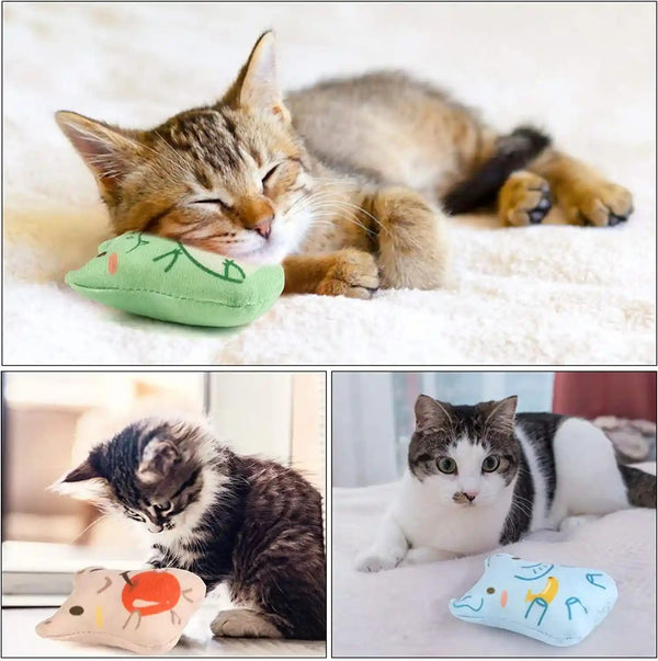 Catnip Toys for Indoor Cats - 5PCS Plush Cat Chew Toys Teething Interactive Catnip Filled Kitten Toy Soft Pet Toy2