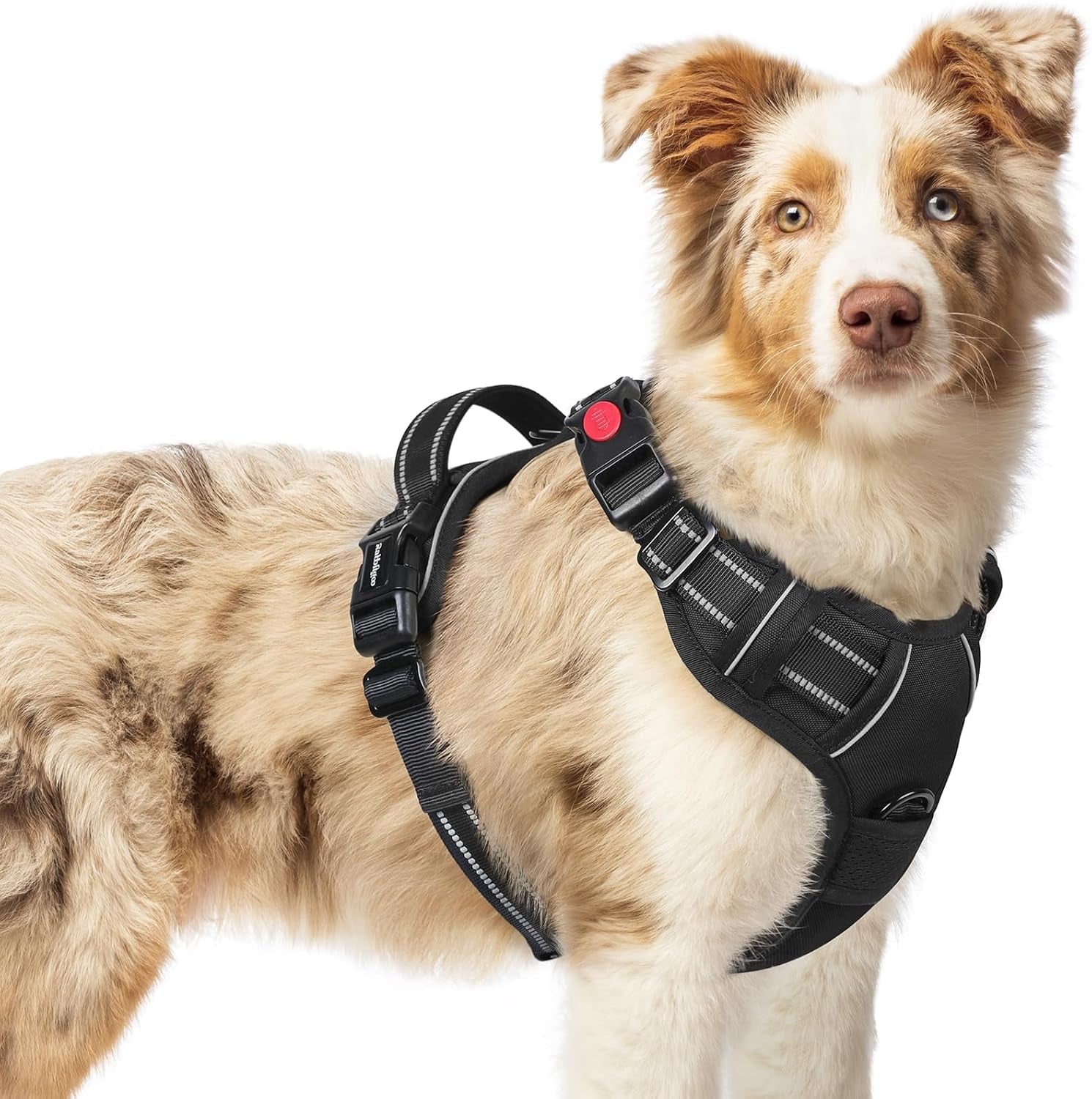 rabbitgoo-dog-harness-medium-sized-updated-easy-on-off-with-3-buckles-no-pull-no-choke-walking-with-2-clips-and-handle-adjustable-soft-reflective-blue-medium