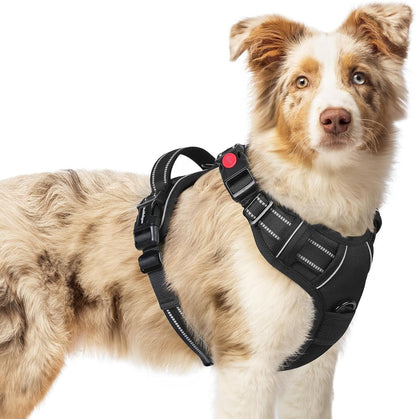 Rabbitgoo Dog Harness Medium Sized, Updated Easy on & off with 3 Buckles | No Pull No Choke, Walking with 2 Clips and Handle, Adjustable Soft Reflective, Blue, Medium78