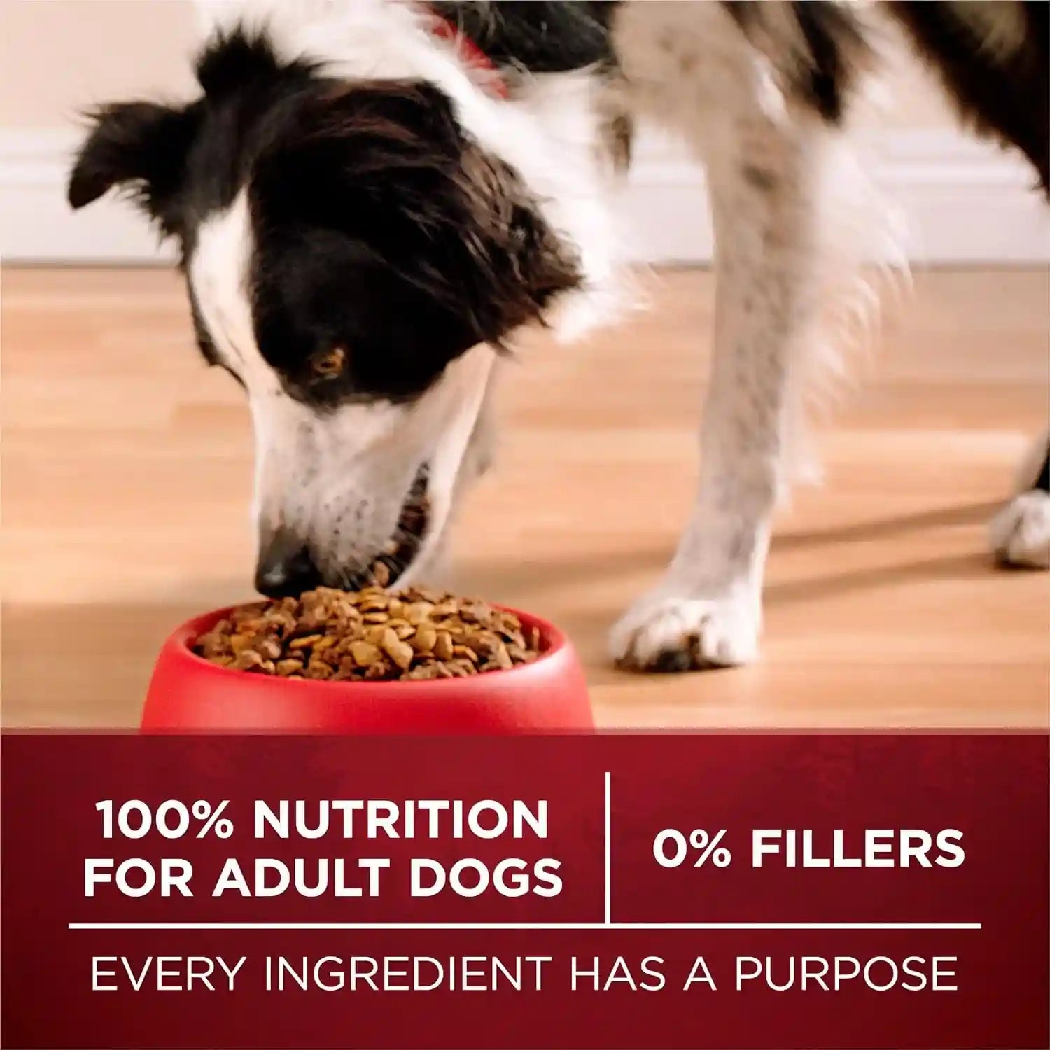 purina-one-true-instinct-with-real-salmon-and-tuna-natural-with-added-vitamins-minerals-and-nutrients-high-protein-dog-food-dry-formula-36-lb-bag
