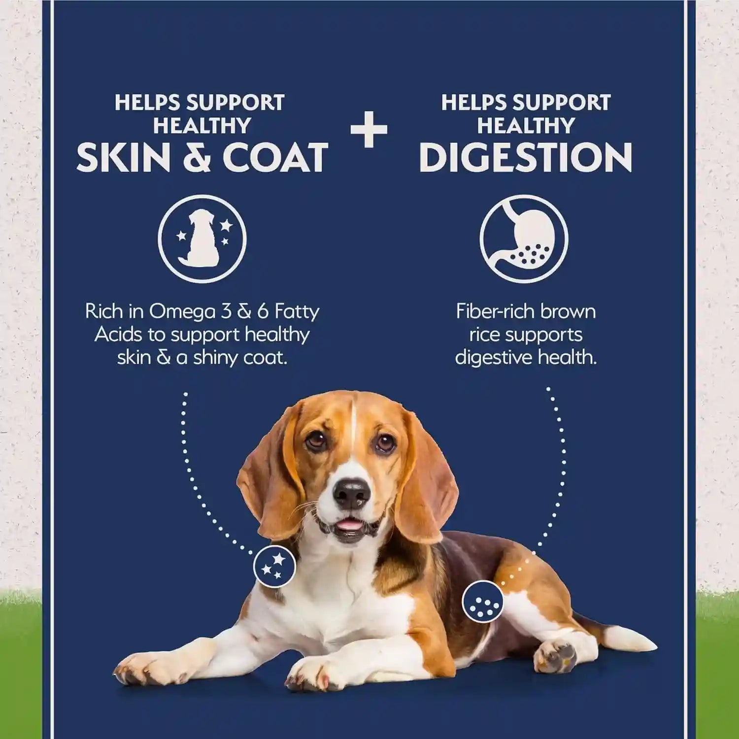 natural-balance-limited-ingredient-adult-dry-dog-food-with-vegan-plant-based-protein-and-healthy-grains-vegetarian-recipe-24-pound-pack-of-1