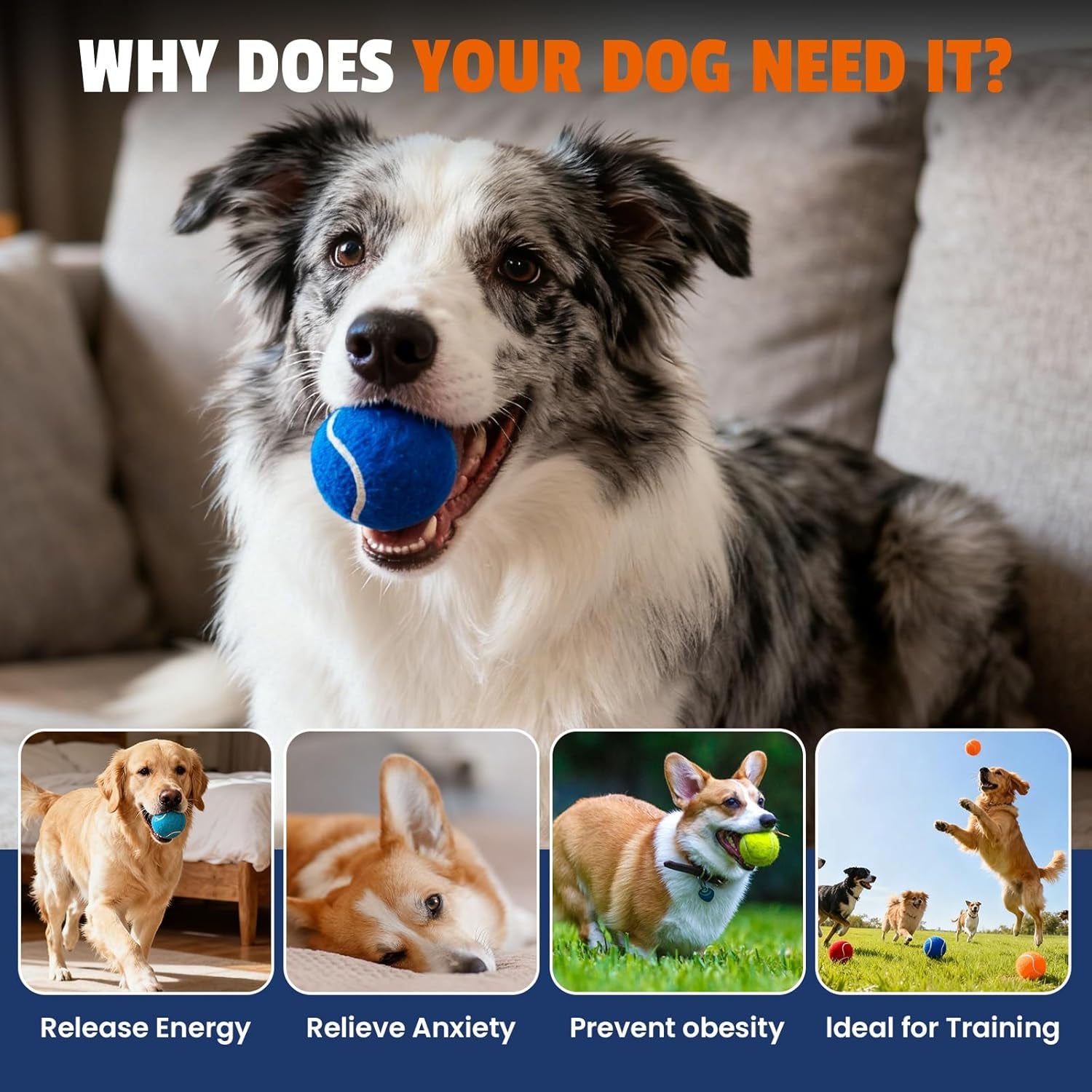 furwey-tennis-balls-for-dogs-16-pack-2-5-inches-durable-and-non-toxic-dog-toys-balls-with-mesh-bag-colorful-fetch-toys-balls-for-pet-dog-non-squeaky