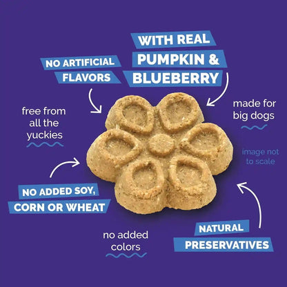 Fruitables Biggies Dog Biscuits, Healthy Treats for Dogs, Doggie Biscuits, Crunchy Pumpkin Treats, Made without Wheat, Corn and Soy, Made in the USA, Pumpkin and Blueberry Flavor, 16Oz5