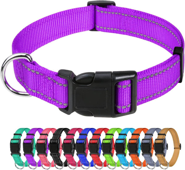 Tagme Small Dog Collar, Reflective Puppy Collar, Sky Blue, 3/8" Width | Lightweight, Nylon Collar for Puppies, Chihuahua, Yorkie & Teacup Dogs 5-15 Lbs, Reflective for Evening Walks, 12 Colors29