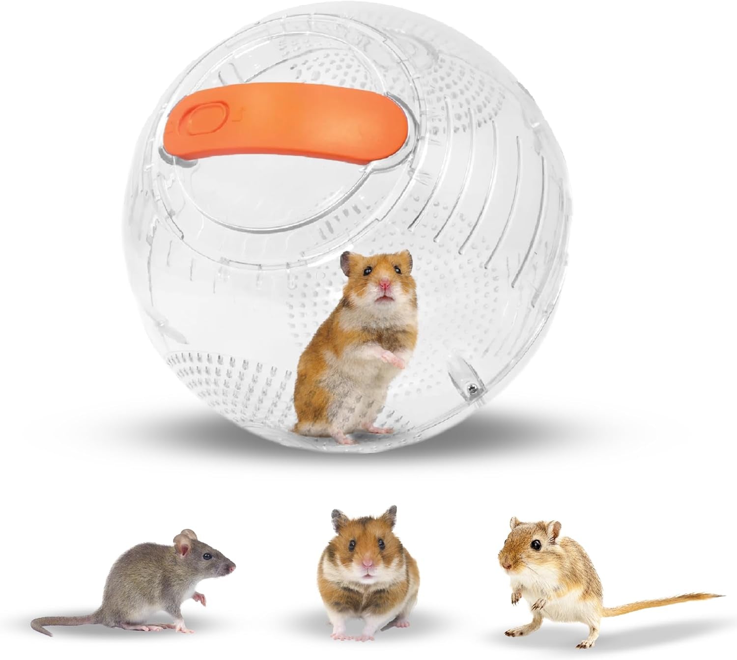 clear-hamster-exercise-ball-7-pet-rat-accessories-sturdy-dwarf-hamster-ball-for-safe-active-play-ventilated-small-animal-toys-for-gerbils-mice-other-small-pets