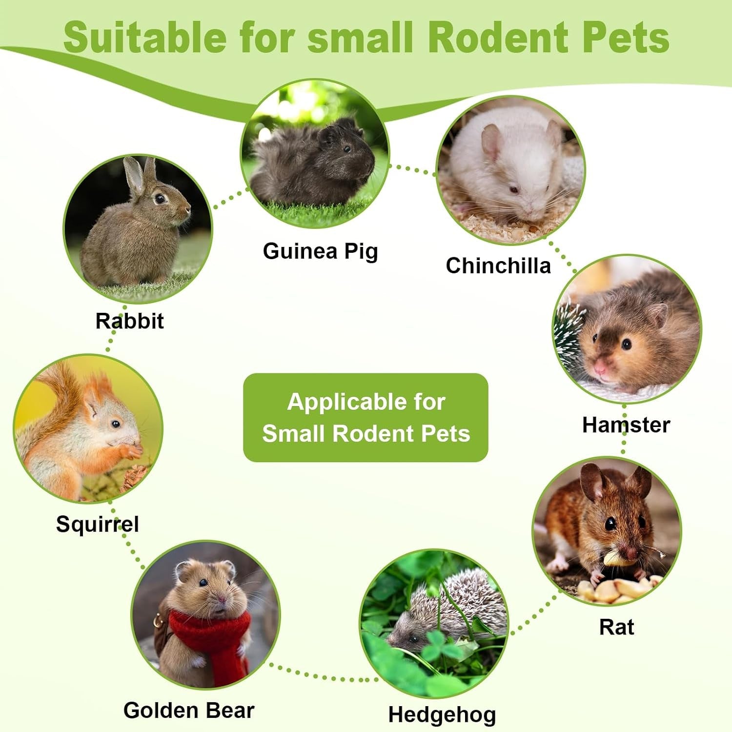 100pcs-timothy-hay-sticks-for-rabbits-guinea-pigs-chinchillas-chew-treats-natural-timothy-grass-molar-teeth-stick-bunny-chew-toys-for-rabbits-chinchillas-guinea-pigs-hamsters-rodents