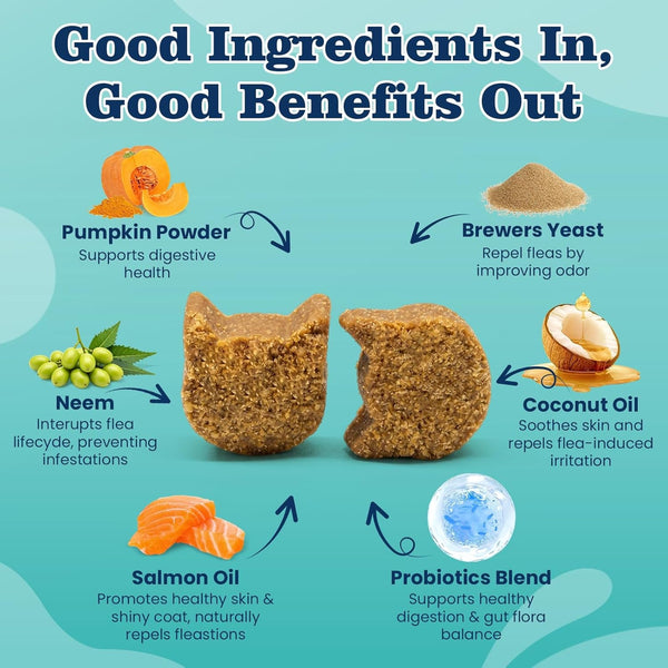 Flea Treatment for Cats-300 Treats Natural Flea and Tick Prevention for Cats Chewable, Itchy Skin &Biting Relief Immune &Gut Health Oral Flea Supplement for Kittens-All Cats Made in USA Chicken Flavor3