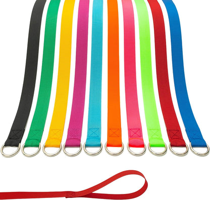 Slip Lead Dog Leash, 10 Pack Colorful 6 FT Pet Leashes with O-Ring | Bulk Slip Leads for Small Medium Large Dogs, Walking Training Grooming Shelter Use1
