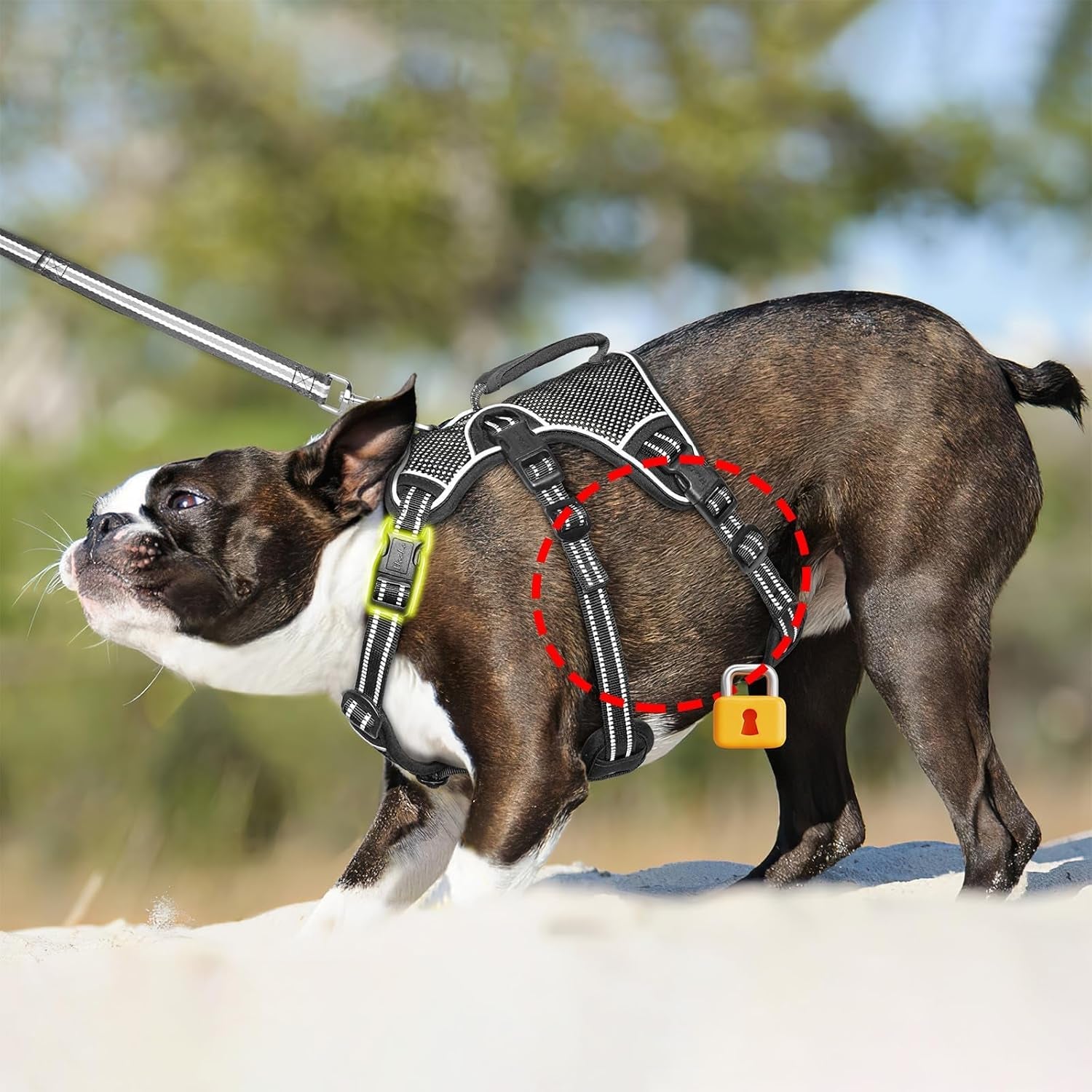 heele-dog-harness-escape-proof-dog-harness-release-on-neck-no-pull-reflective-adjustable-vest-with-durable-handle-dog-harness-for-outdoor-training-walking-dog-harness-for-large-active-dogs-l