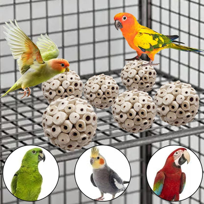 LWINGFLYER 6 Pieces Sola Atta Ball Parrot Biting Toy Bird Chew Accessories Natural Sola Plant Material for Birds, Rabbits, Hamsters and Small Pets.6