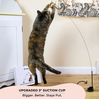 Whiskertons Interactive Bird Simulation Cat Toy Set, Interactive Cat Toys for Indoor Cats, Cat Feather Toy, Self-Holding Suction Base, 5 Replacement Birds, Feathers & Bells, Realistic Bird Impression2