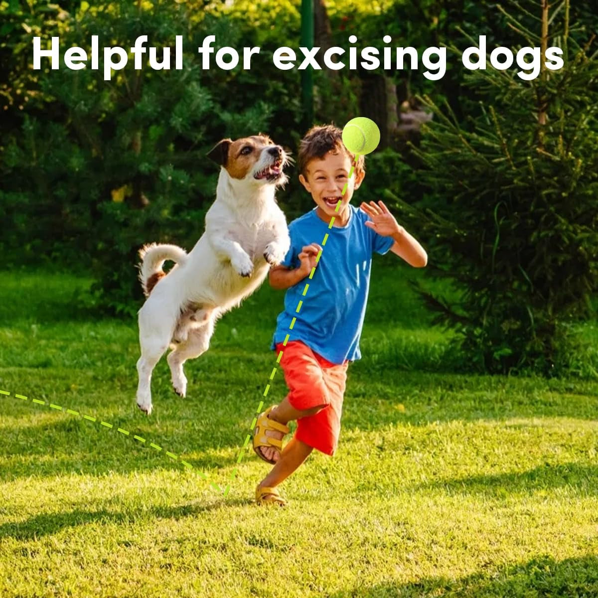 ziyize-mini-tennis-balls-6-pack-2-inch-dog-tennis-balls-easy-catching-pet-playing-ball-for-2-inch-dog-ball-launcher