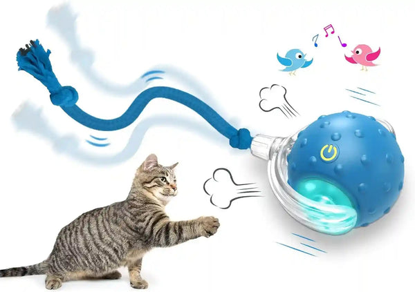 Giociv Interactive Cat Toys Ball for Indoor Cats Fast Rolling on Carpet, Chirping & Motion Activate Cat Toys (Blue)1