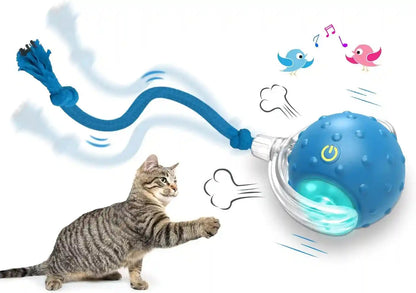 Giociv Interactive Cat Toys Ball for Indoor Cats Fast Rolling on Carpet, Chirping & Motion Activate Cat Toys (Blue)1