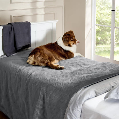 Bedsure Waterproof Couch Cover for Dogs Washable - Waterproof Blanket for Large Dogs Couch Sofa Bed Cozy, Lightweight Furniture Protector for Pet Cat Quick Drying, Ash Grey, 52X82In9