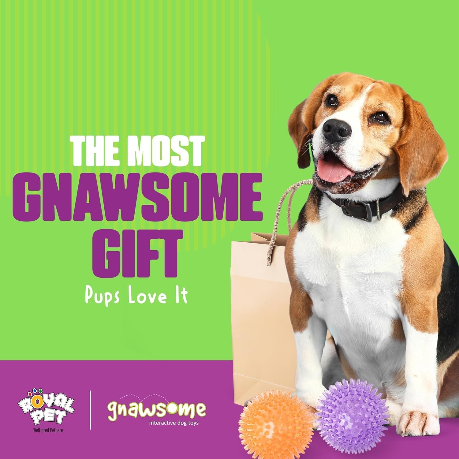 gnawsome-medium-squeaker-ball-dog-toy-medium-3-5-colors-will-vary-all-breed-sizes