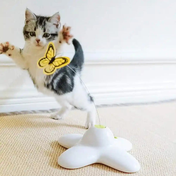 All for Paws Cat Toys Interactive Butterfly Flutter Bug Cat Automatic Toy Stimulating Kitty Toys Enrichment for Indoor Cats2