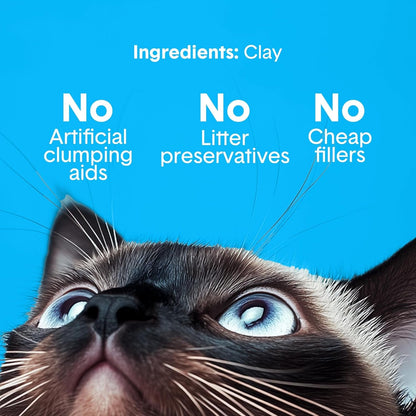 Boxie Premium Unscented Clumping Cat Litter 30+ Day Odor Control 16 Lb4
