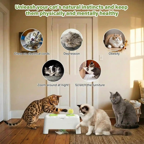 Magic House Interactive Cat Toy with 3 Modes, Rechargeable Whack-A-Mole Feather Toy for Indoor Cats, 4 Holes & 4 Accessories4