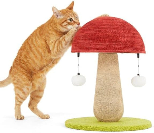 Everyyay by Petco Toadstool Scratch Post for Cats4