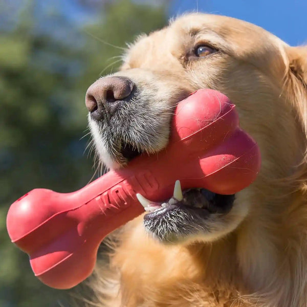 KONG Goodie Bone - Classic Durable Natural Rubber Dog Bone, Supports Mental Engagement - Treat Dispensing - Red - for Medium Dogs2