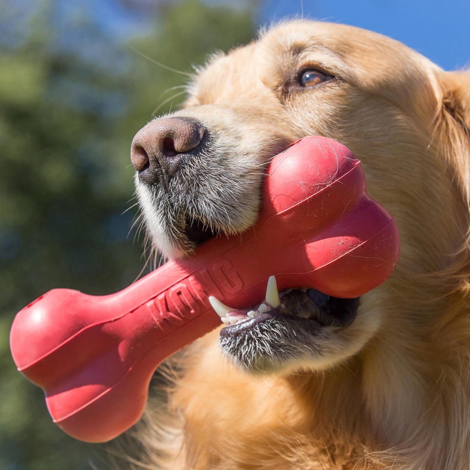 kong-goodie-bone-classic-durable-natural-rubber-dog-bone-supports-mental-engagement-treat-dispensing-red-for-medium-dogs
