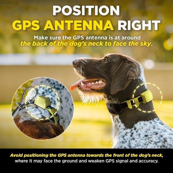 Dogtra GPS Fence – No Subscription, Custom Wireless Dog Fence with App, Smart Guidance & Return Reminder Tone/Vibration/Correction, IPX9K Waterproof Rechargeable Collar, Safe Freedom for Dogs 15 Lbs+7