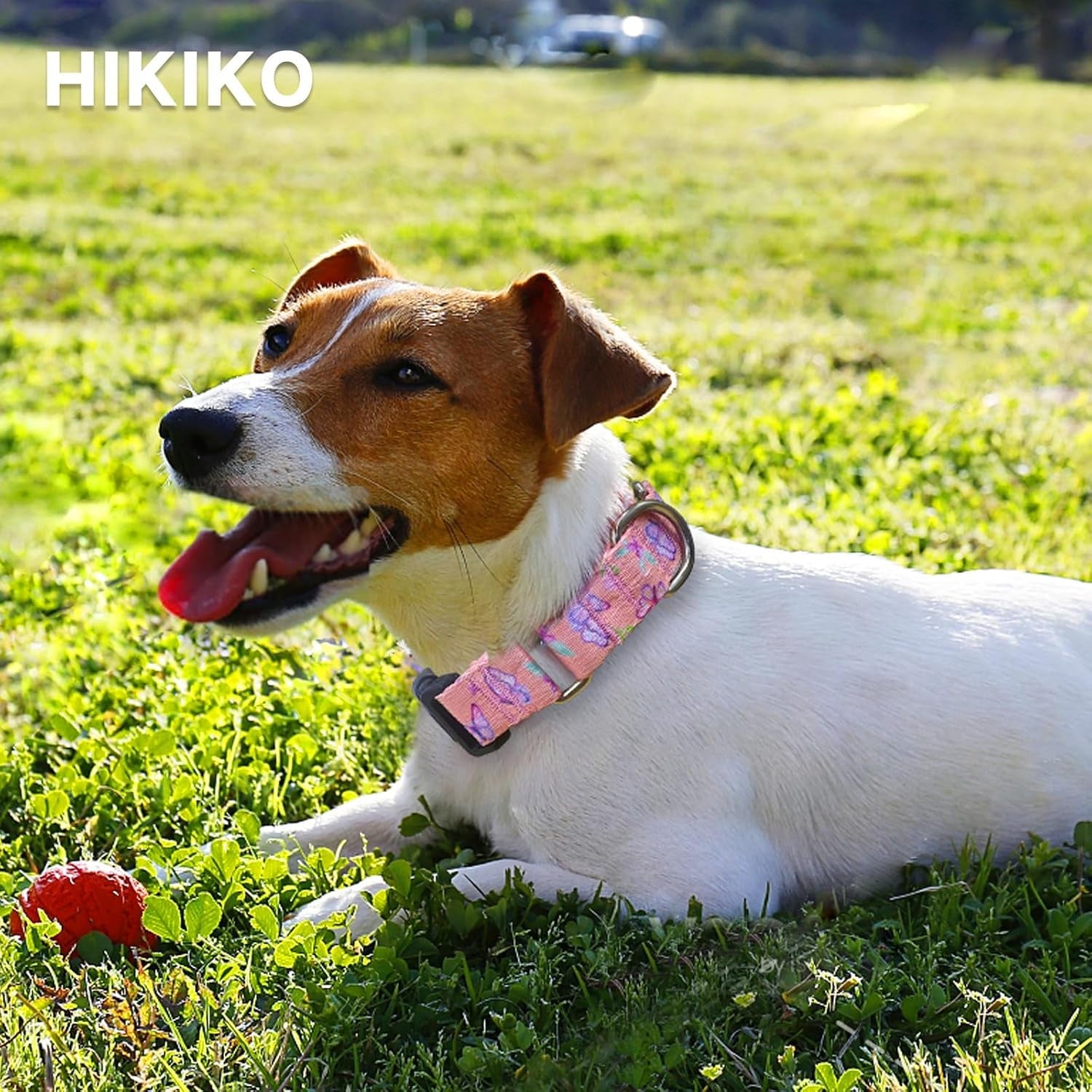 hikiko-martingale-collar-for-dogs-adjustable-soft-nylon-dog-collars-with-cute-patterns-for-small-medium-large-dog-pink-butterfly-medium