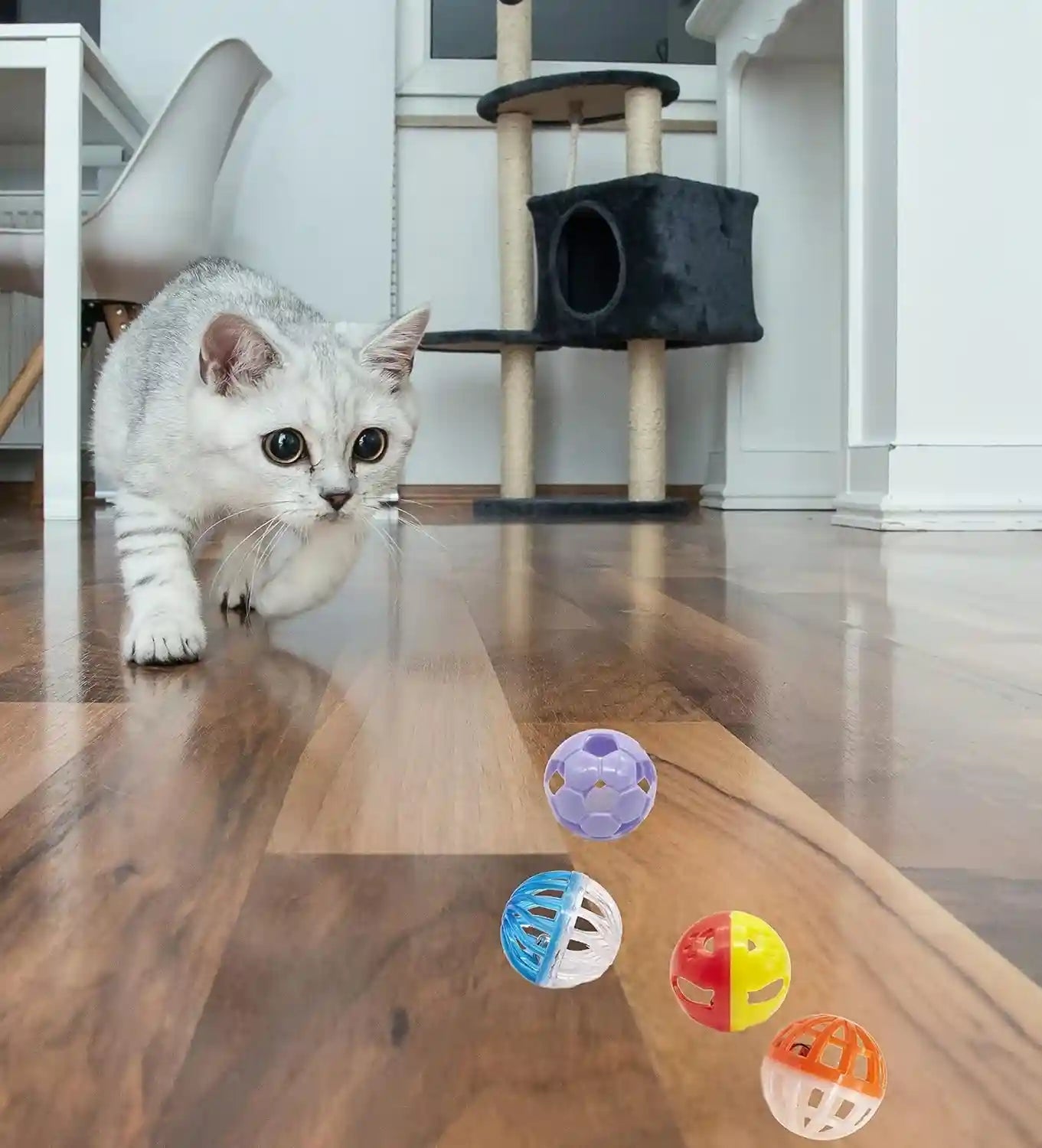 fashions-talk-12pcs-value-pack-plastic-ball-cat-toys-lattice-balls-with-bell-jingle-kitten-toy-gift-box-1-5-6-styles