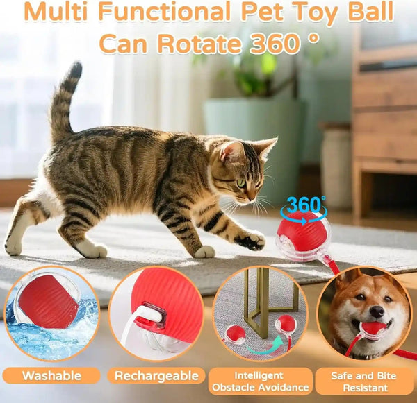 Goosheep 2PK Automatic Rolling Interactive Cat Toys Ball for Indoor Cat Dog | Red&Grey, 3 Modes, LED Light, 360° Smart Automatic Rolling, Suitable for Multi-Cat Families, for Indoor Cats and Small Dogs6