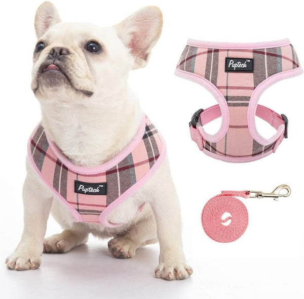 PUPTECK Soft Mesh Dog Harness Small Sized and Leash Set Pet Puppy Cat Comfort Padded Vest No Pull Harnesses, Beige, S64