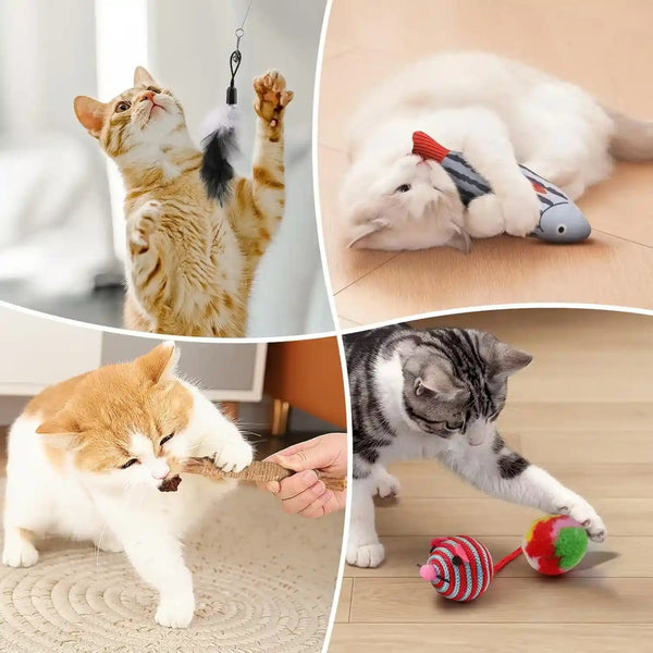 Fashion'S Talk Cat Toys Variety Pack for Kitty 20 Pieces5